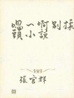 嗯～啊别揉我奶头小说封面