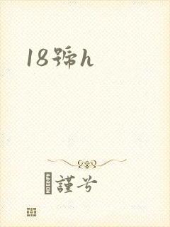 18号h