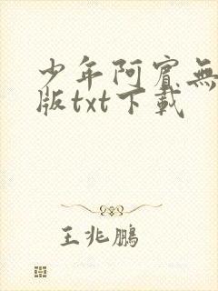 少年阿宾无删减版txt下载