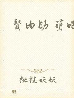 贤内助 萌吧啦封面