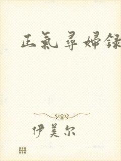 正气寻妇录封面