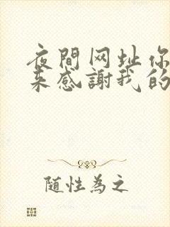 夜间网址你会回来感谢我的