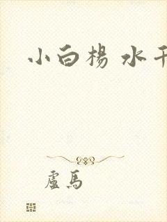 小白杨 水千丞