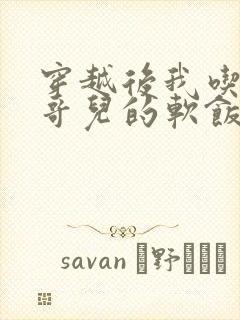 穿越后我吃到了哥儿的软饭炉山灰