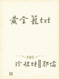 黄金笼txt
