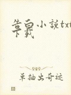 告白小说txt下载