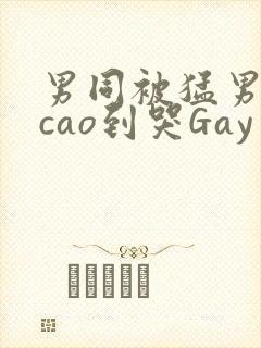 男同被猛男房东cao到哭Gay