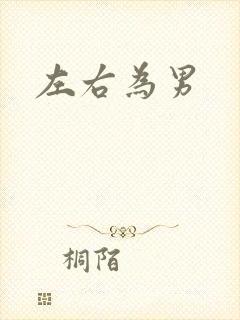 左右为男封面