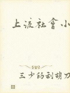 上流社会小说封面