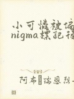 小可怜被偏执enigma标记后免费阅读笔趣阁