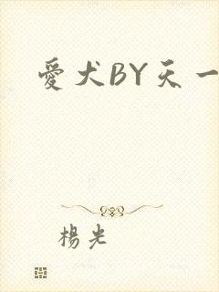 爱犬BY天一封面