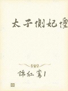 太子侧妃傻乎乎