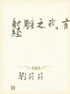 射雕之我有太玄经封面