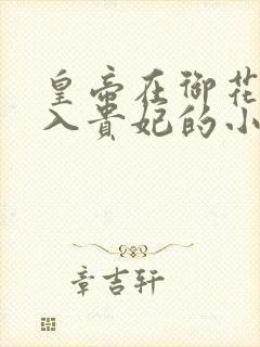 皇帝在御花园进入贵妃的小说