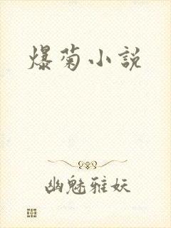爆菊小说