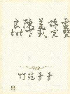 良陈美锦电子书txt下载完整版