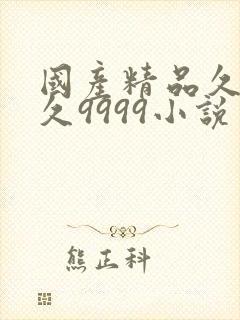 国产精品久久久久9999小说