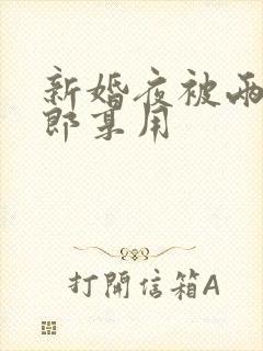 新婚夜被两个伴郎享用封面