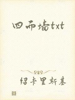 四面墙txt