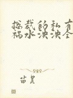 总裁的私有宝贝祸水泱泱全文阅读封面