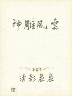 神雕风云