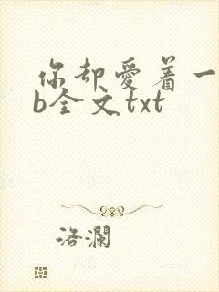 你却爱着一个sb全文txt封面