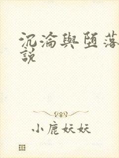 沉沦与堕落的小说