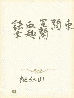 铁血军阀东北王笔趣阁封面