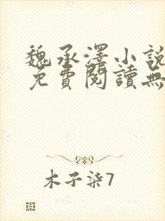 魏承泽小说全文免费阅读无弹窗笔趣