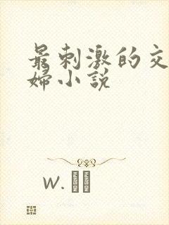 最刺激的交换夫妇小说