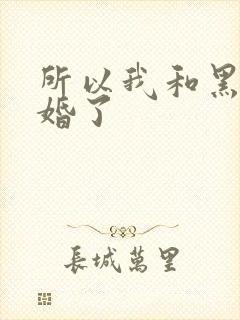 所以我和黑粉结婚了