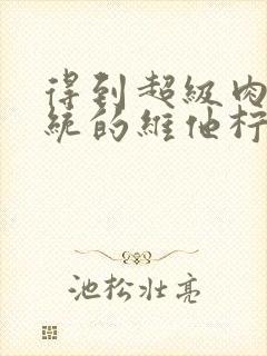 得到超级肉禽系统的维他柠檬茶