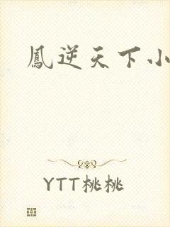 凤逆天下小说封面