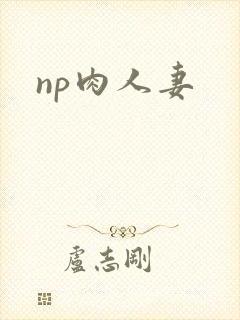 np肉人妻封面