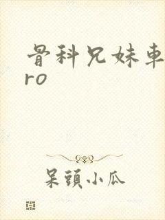 骨科兄妹车多pro