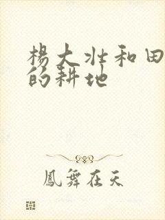 杨大壮和田桂花的耕地