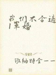 我们不合适1v1军婚封面