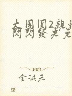 大团圆2亲情会闪闪发光免费封面