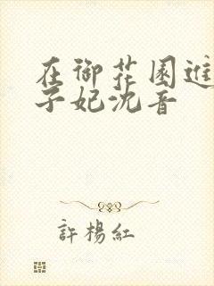 在御花园进入太子妃沈音