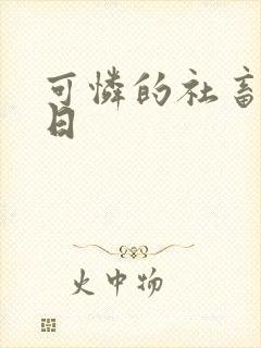 可怜的社畜东度日