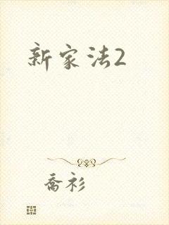 新家法2封面