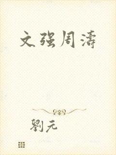 文强周涛封面