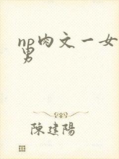 np肉文一女多男