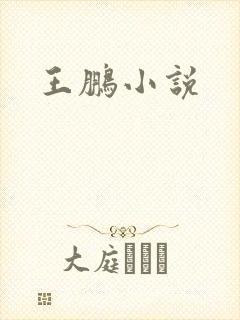 王鹏小说