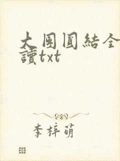 大团圆结全文阅读txt