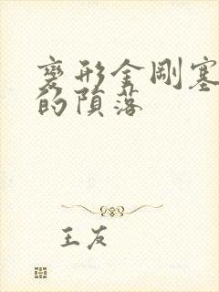 变形金刚塞伯坦的陨落封面