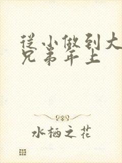 从小做到大骨科兄弟年上