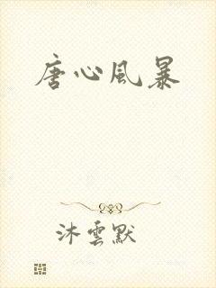 唐心风暴