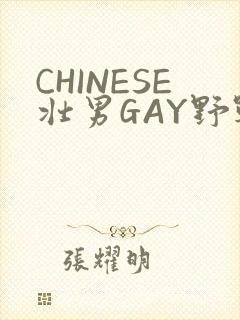 CHINESE壮男GAY野战强迫TUBE封面