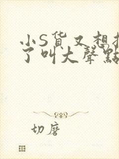 小S货又想挨C了叫大声点小